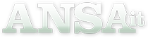ANSA