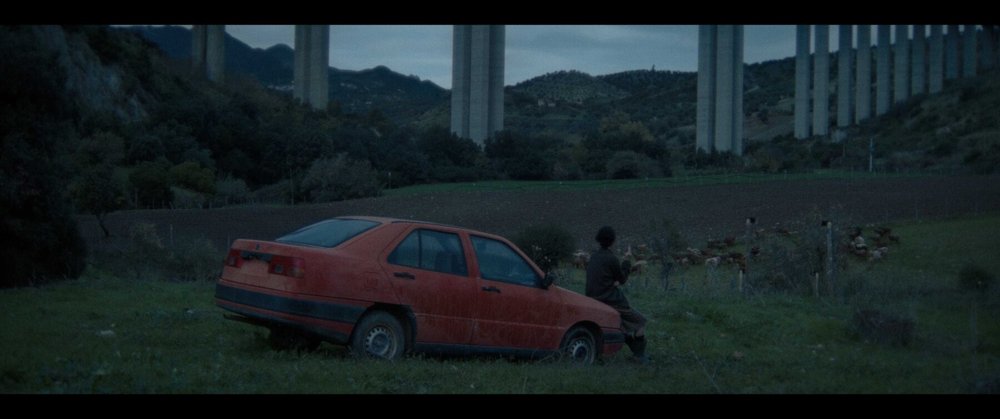 Locandina di Primo Sangue